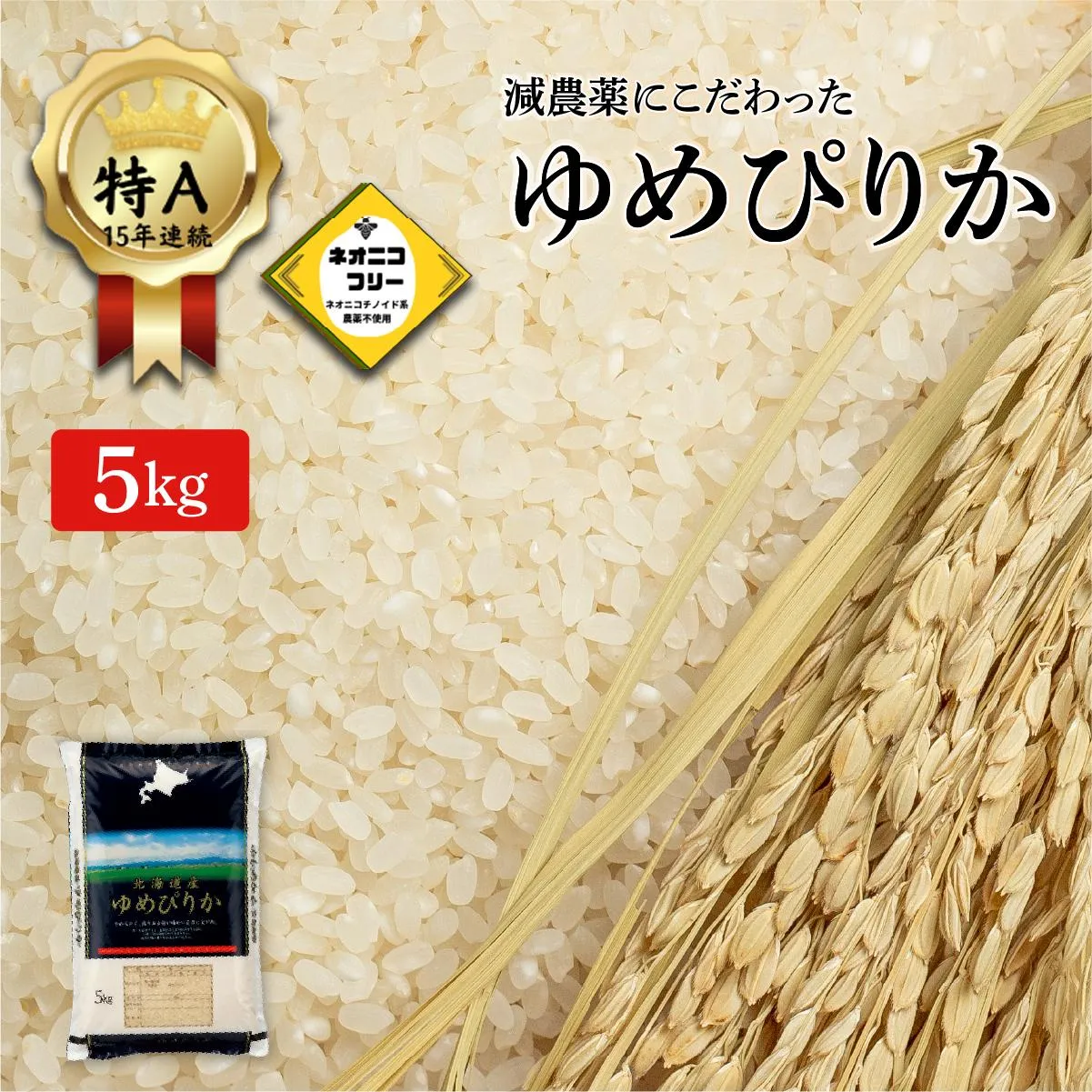 令和7年産 アグリプロ未来のゆめぴりか 5kg【a178-001】北海道 岩見沢市 北海道産 お米 米 精米 白米 ご飯 ごはん