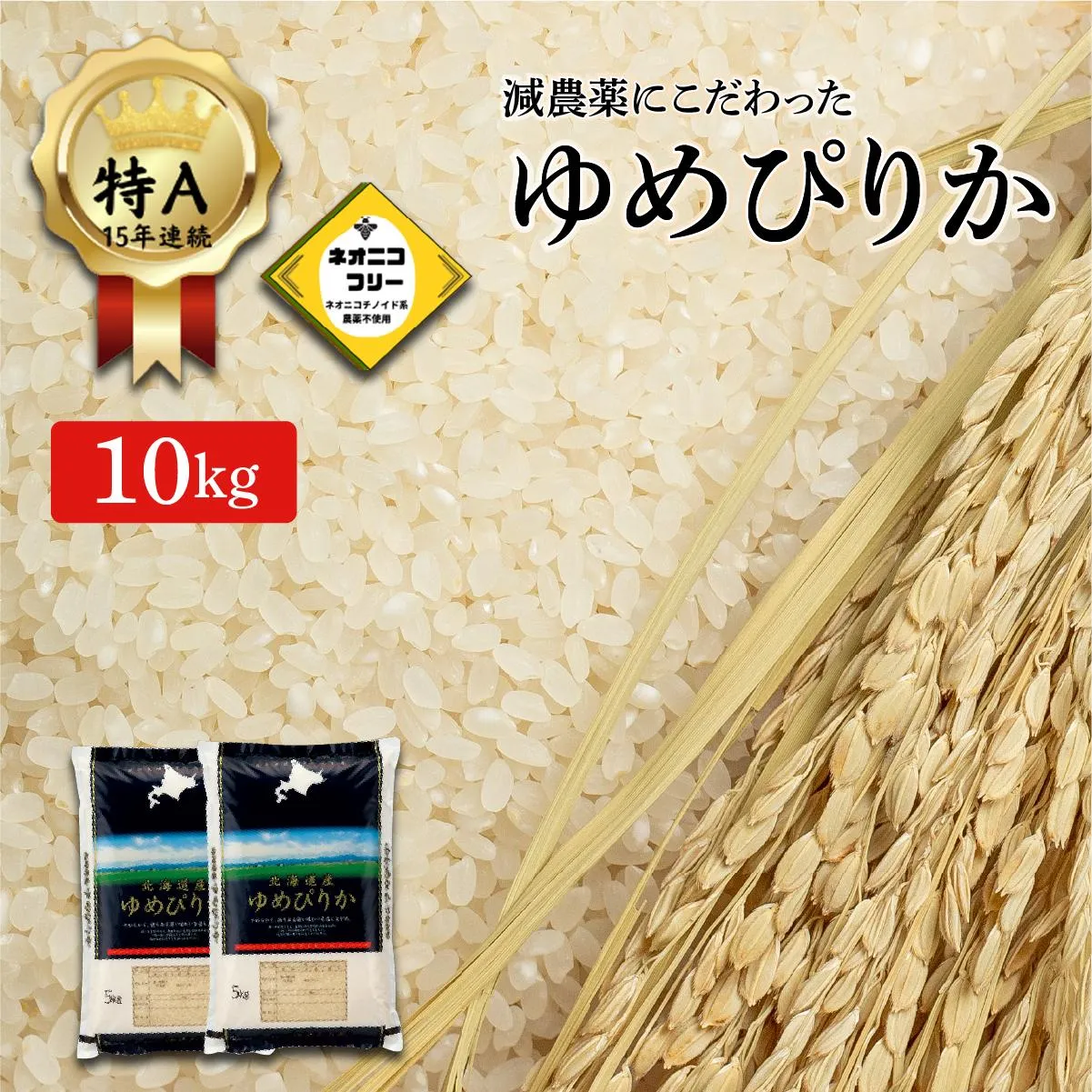 令和7年産 アグリプロ未来のゆめぴりか 10kg(5kg×2袋)【a178-002】北海道 岩見沢市 北海道産 お米 米 精米 白米 ご飯 ごはん