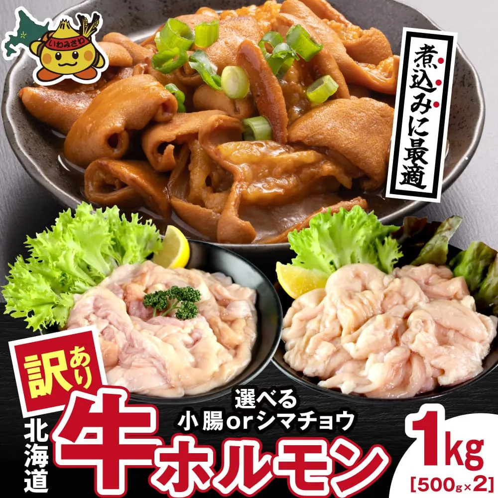 牛ホルモン (味付け無し／小腸) 1kg (500g×2パック)【a163-044】お肉 牛肉 牛もつ 煮込み