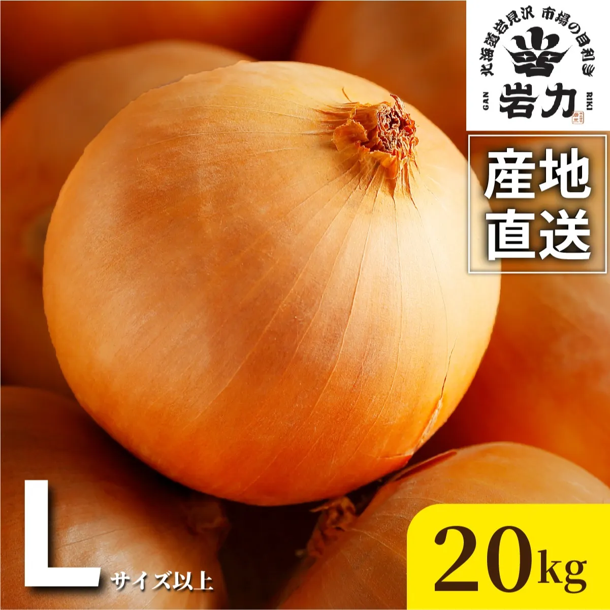 北海道岩見沢産たまねぎ 20kg (市場の目利き・岩力ブランド) | 玉ねぎ タマネギ 玉葱 オニオン 野菜【a142-009】