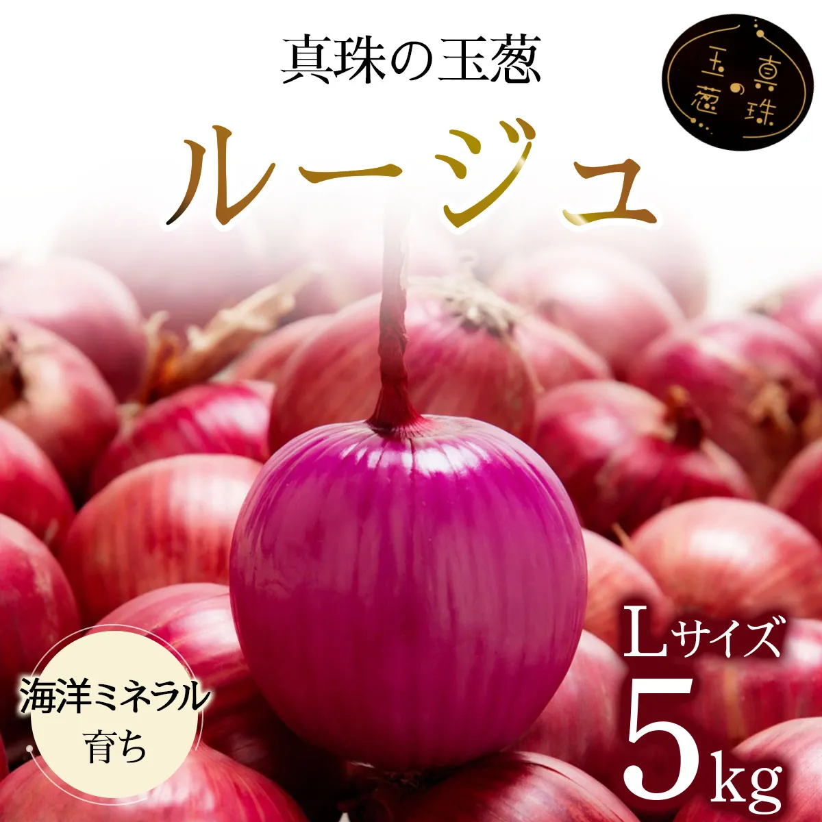 真珠の玉葱 ルージュ Lサイズ 5kg ＜海のミネラルで育てた赤玉葱＞｜玉ねぎ たまねぎ タマネギ 北海道産 岩見沢市【a134-011】