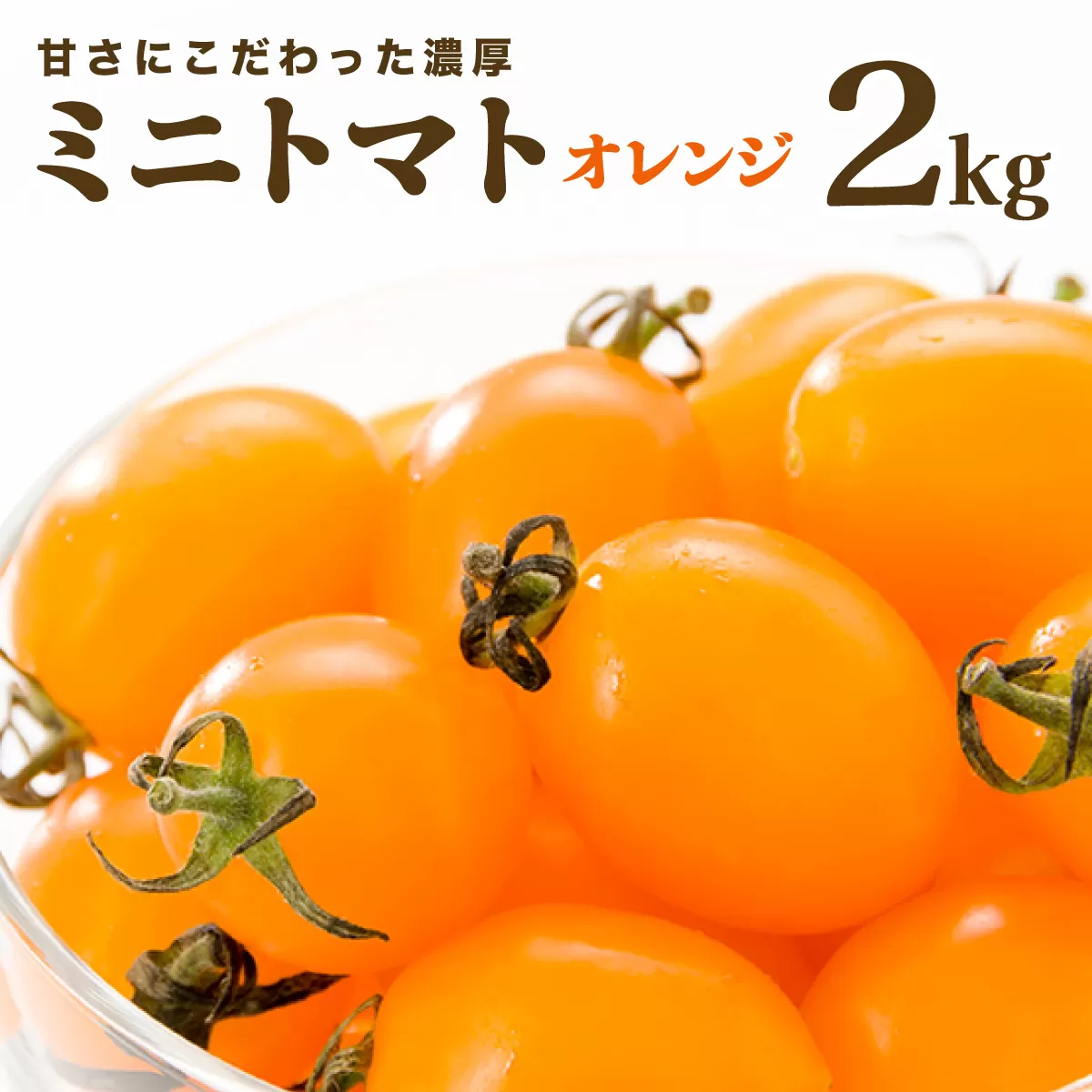 【先行販売】【ファーム雫】甘さにこだわった濃厚オレンジミニトマト ２kg【a127-004】