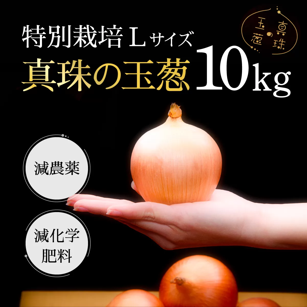 真珠の玉葱 特別栽培Lサイズ10kg≪海のミネラルで育てた特別栽培玉葱≫【50102】