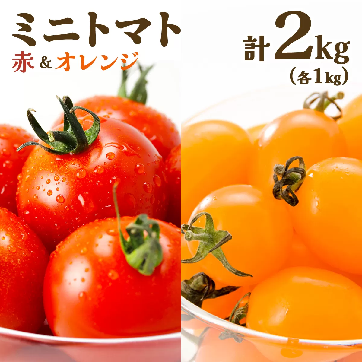 【先行販売】【ファーム雫】食べ比べセット　ミニトマト赤＆オレンジ計２kg【a127-005】