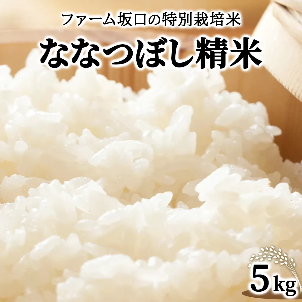 令和7年産！ファーム坂口の特別栽培米 ななつぼし精米 5kg