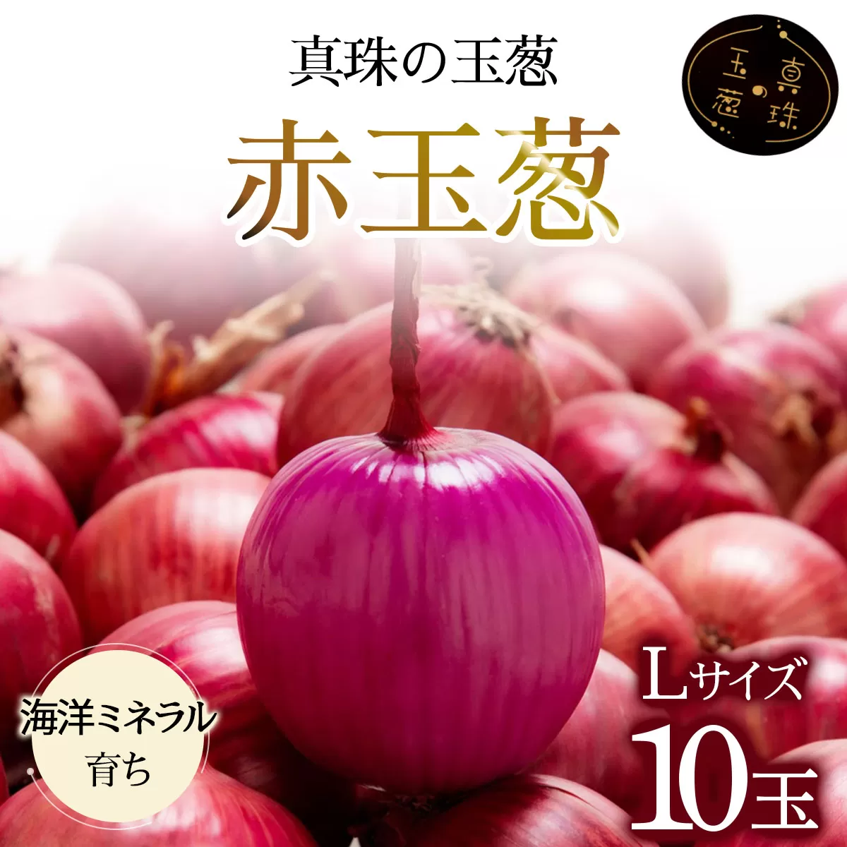 真珠の玉葱 赤玉葱Lサイズ10玉≪海のミネラルで育てた特別栽培玉葱≫【50107】