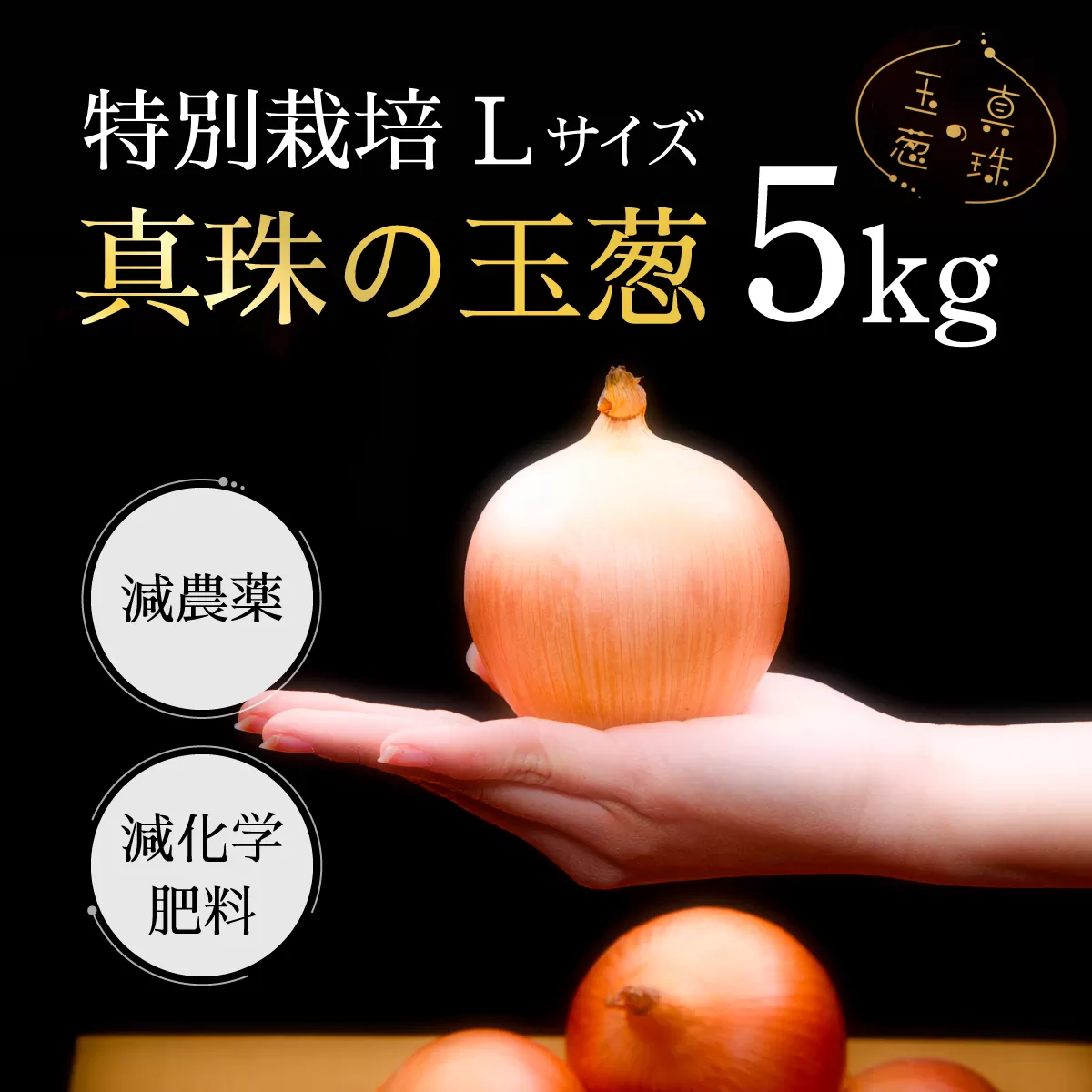 真珠の玉葱 特別栽培Lサイズ5kg≪海のミネラルで育てた特別栽培玉葱≫【50101】