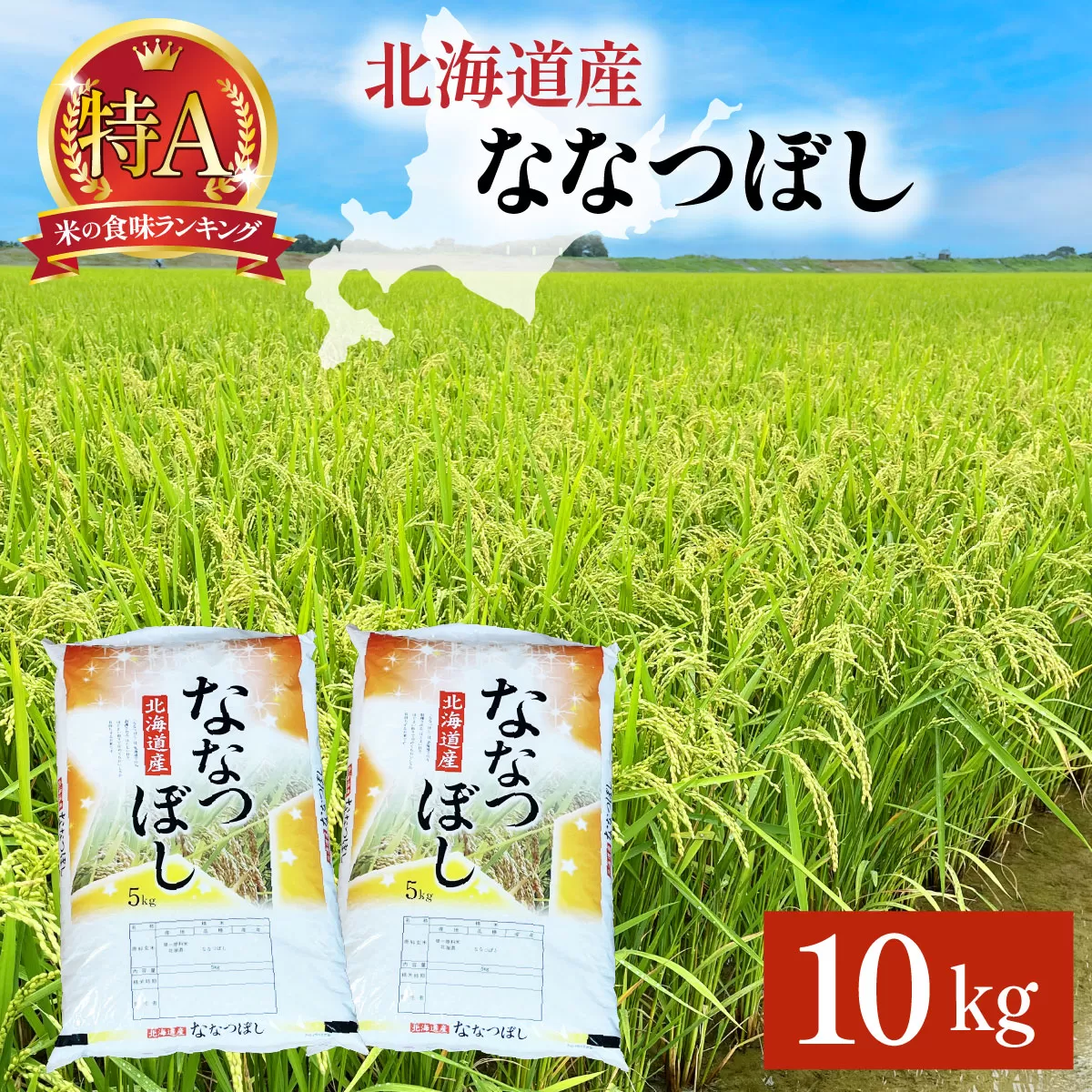 岩見沢産 ななつぼし 10kg (5kg×2袋) 精米 | 北海道岩見沢産 ななつぼし 精米 10kg 白米 米 お米 ご飯 ごはん 北海道 岩見沢市