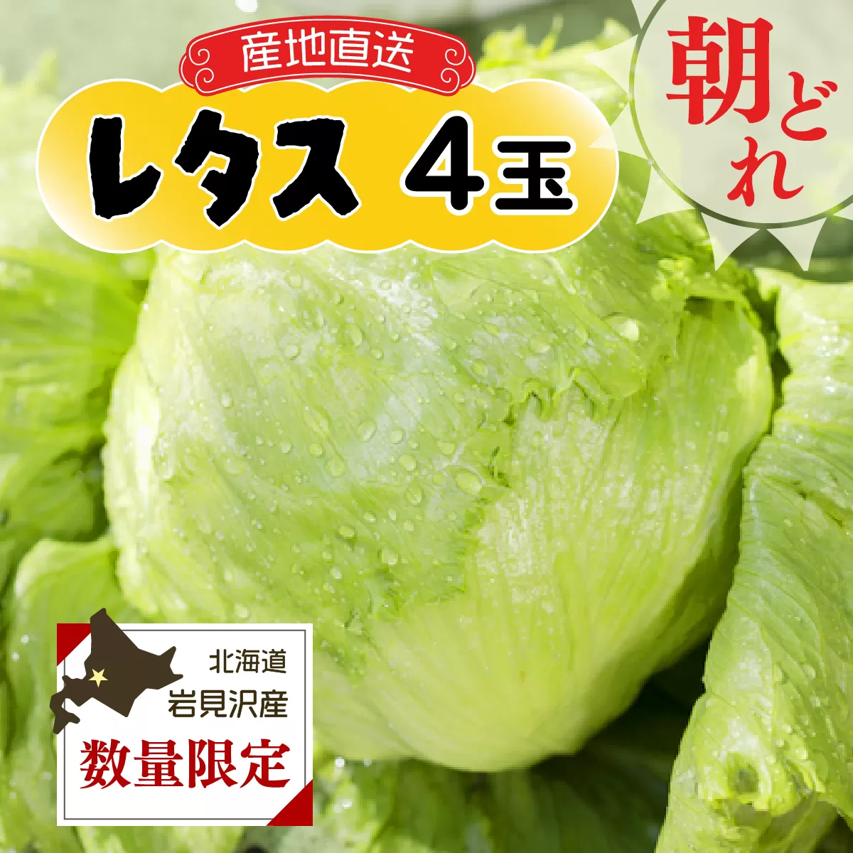≪先行予約≫市場の目利き　北海道岩見沢産　レタス4玉