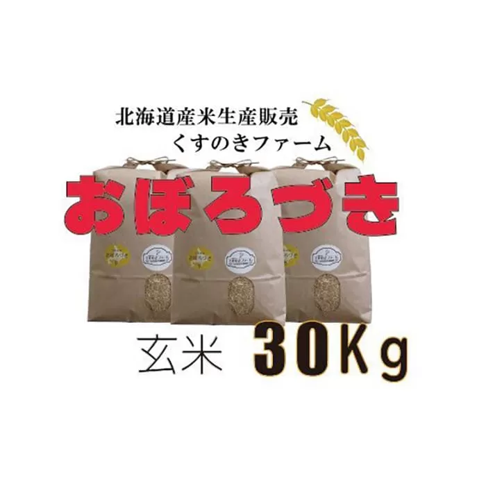 【令和5年産】北海道岩見沢産くすのきファームのおぼろづき玄米（30Kg）【34136】