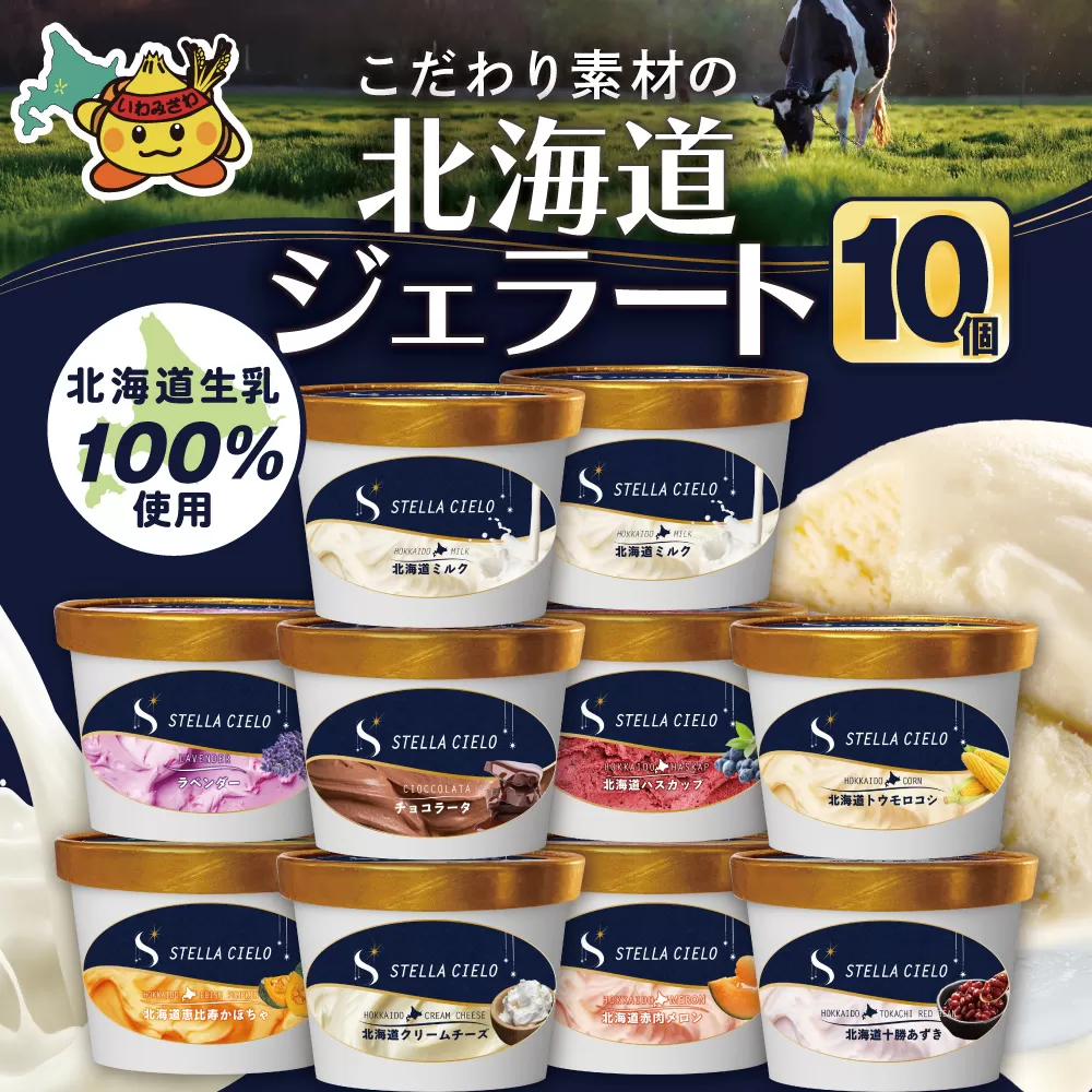 STELLA CIELO 北海道ジェラート10個 | 北海道ミルク チョコラータ 北海道クリームチーズ 北海道産十勝あずき 北海道恵比寿かぼちゃ 北海道赤肉メロン 北海道ハスカップ ラベンダー 北海道トウモロコシ