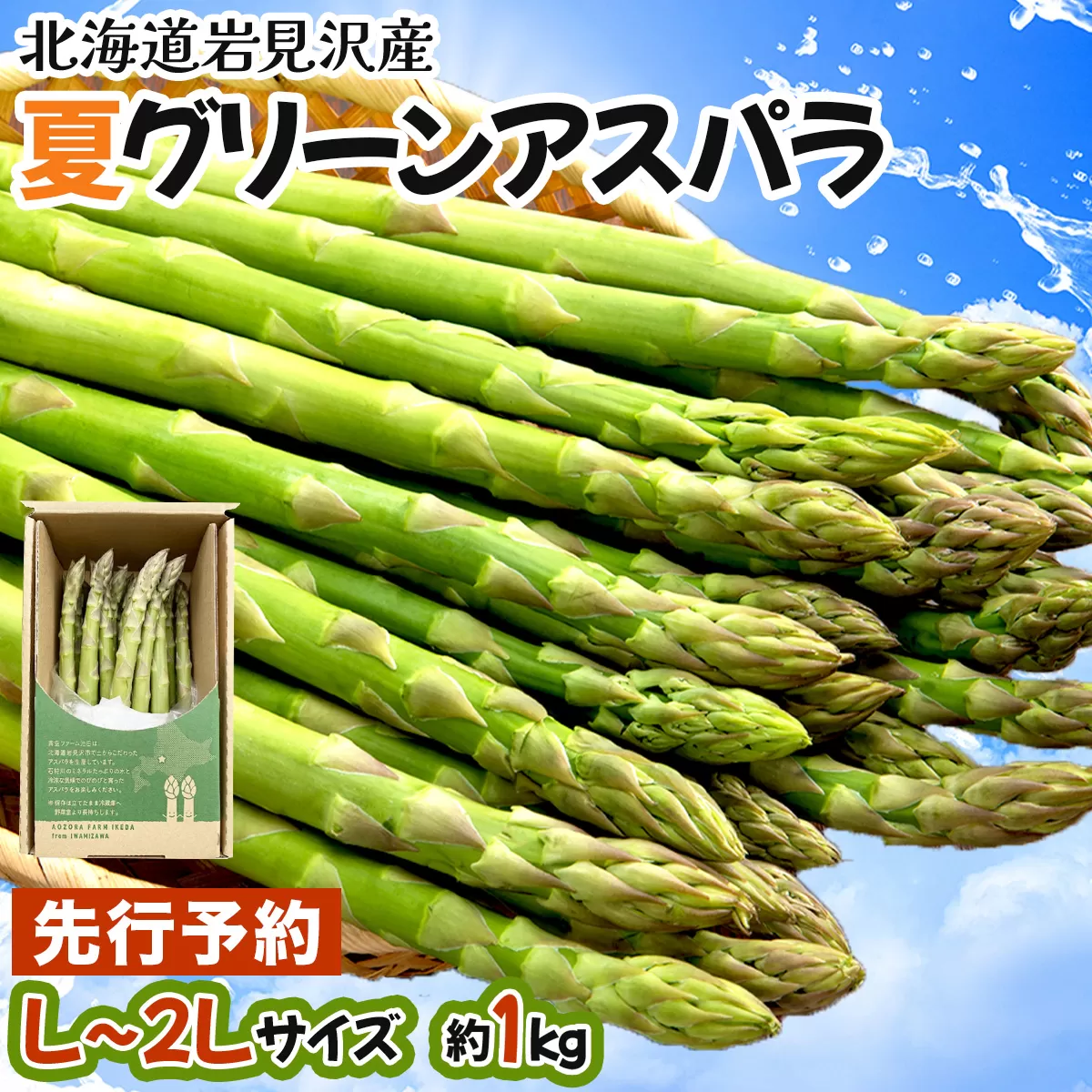 【先行予約／令和8年産】北海道岩見沢産　夏グリーンアスパラ　L〜2Lサイズ 1kg【41104】