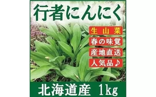 ≪先行予約≫ 令和7年産 行者にんにく葉(生) 1kg≪数量限定・4/20締め切り≫ 【09122】