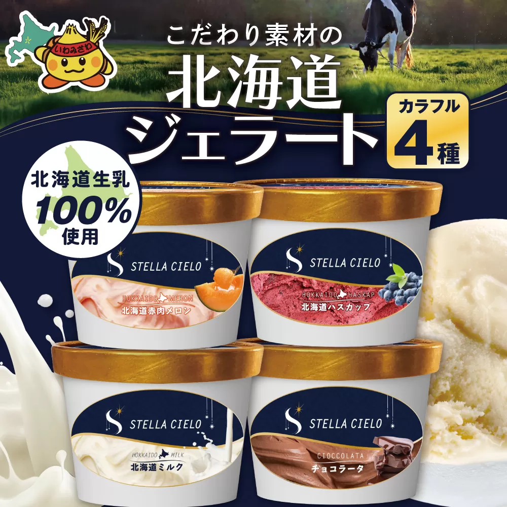 STELLA CIELO 北海道ジェラート4個 カラフル | 北海道ミルク チョコラータ 北海道赤肉メロン 北海道ハスカップ