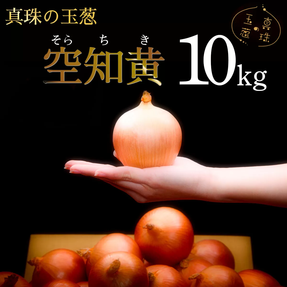 真珠の玉葱 空知黄10kg≪海のミネラルで育てた幻の玉葱空知黄≫【50106】