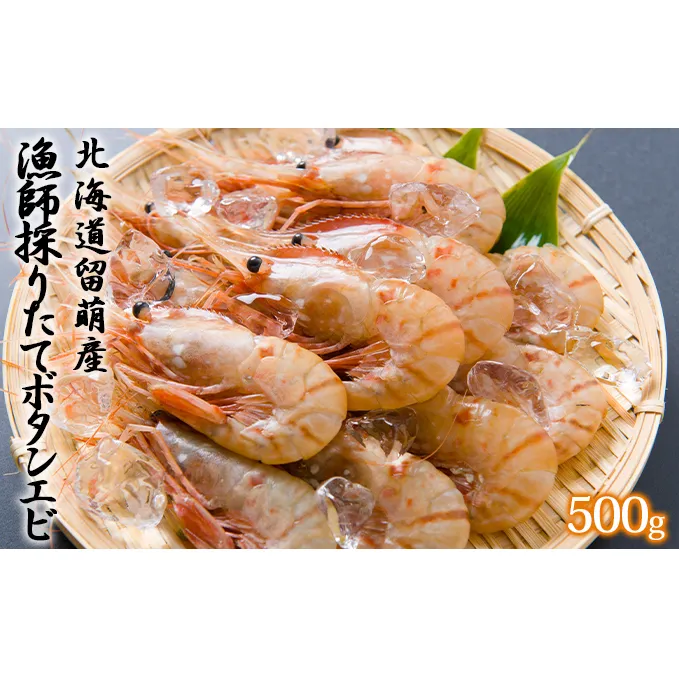 漁師採りたて ボタンエビ 500g 1箱 北海道留萌産 ボタンえび ぼたんえび ボタン海老 えび エビ 海老 お刺身 刺身 塩焼き 塩ゆで 天ぷら 海鮮 魚介 魚介類 北海道 留萌 留萌市