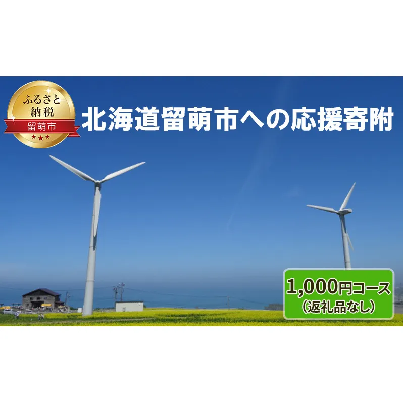北海道留萌市 寄附のみの応援受付 1,000円コース（返礼品なし 寄附のみ 1000円） チケット 寄付 