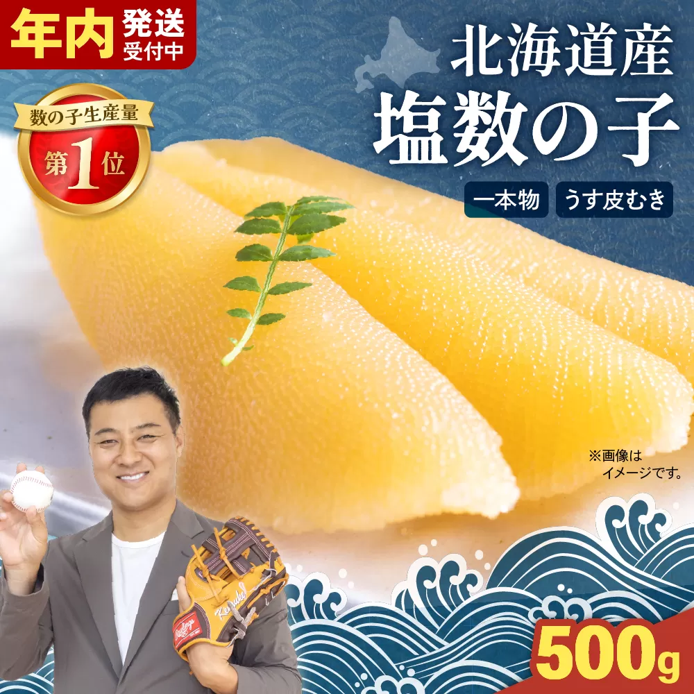 【年内配送　年内発送　北海道】北海道産 塩数の子（うす皮むき）500g　1本物 R001-017　お正月　人気　魚卵　高級　 おつまみ ご飯のお供 惣菜 おかず 珍味 海鮮 海産物 海の幸 魚介 魚介類 魚卵 加工品 北海道産 かずのこ カズノコ 塩カズノコ 株式会社やまか おせち