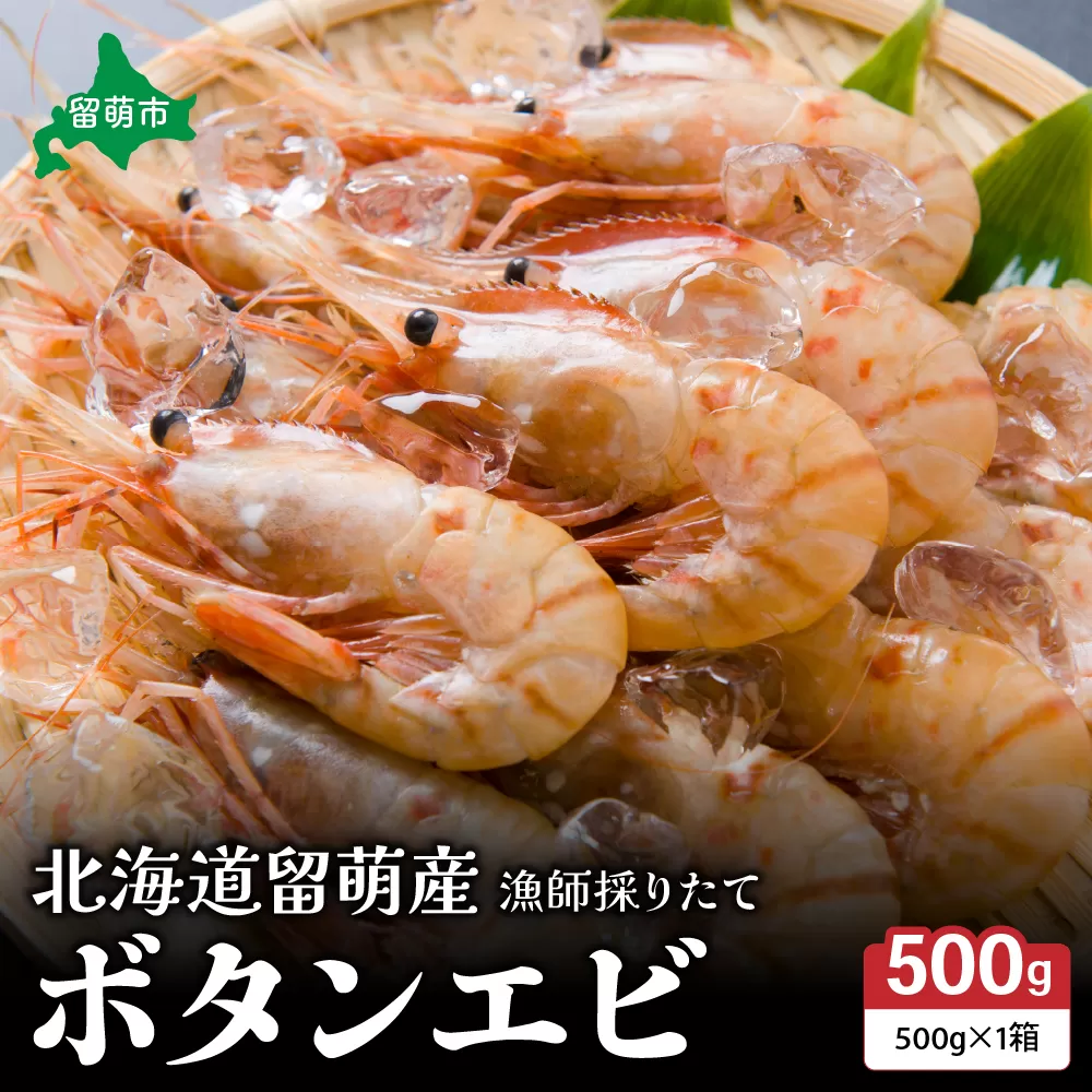 漁師採りたて ボタンエビ 500g 1箱 北海道留萌産 ボタンえび ぼたんえび ボタン海老 えび エビ 海老 お刺身 刺身 塩焼き 塩ゆで 天ぷら 海鮮 魚介 魚介類 北海道 留萌 留萌市　R006-013