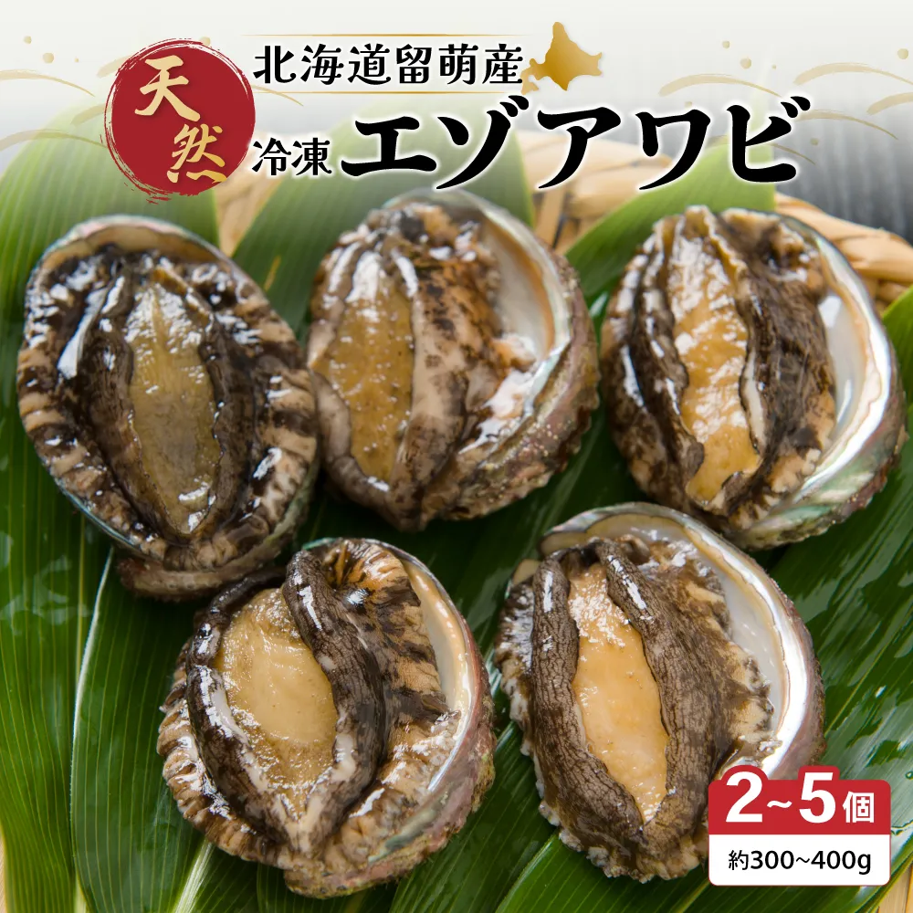 【産地直送】北海道留萌産天然冷凍エゾアワビ 2～5個 
