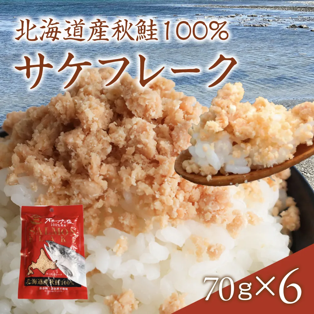 サケフレーク × 6p 鮭フレーク サーモンフレーク 鮭ほぐし 北海道産 R015-006