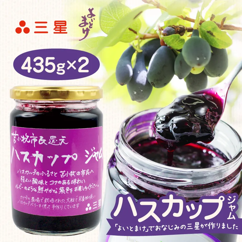 カナダ産 苫小牧市民還元 ハスカップジャム 435g（2瓶）