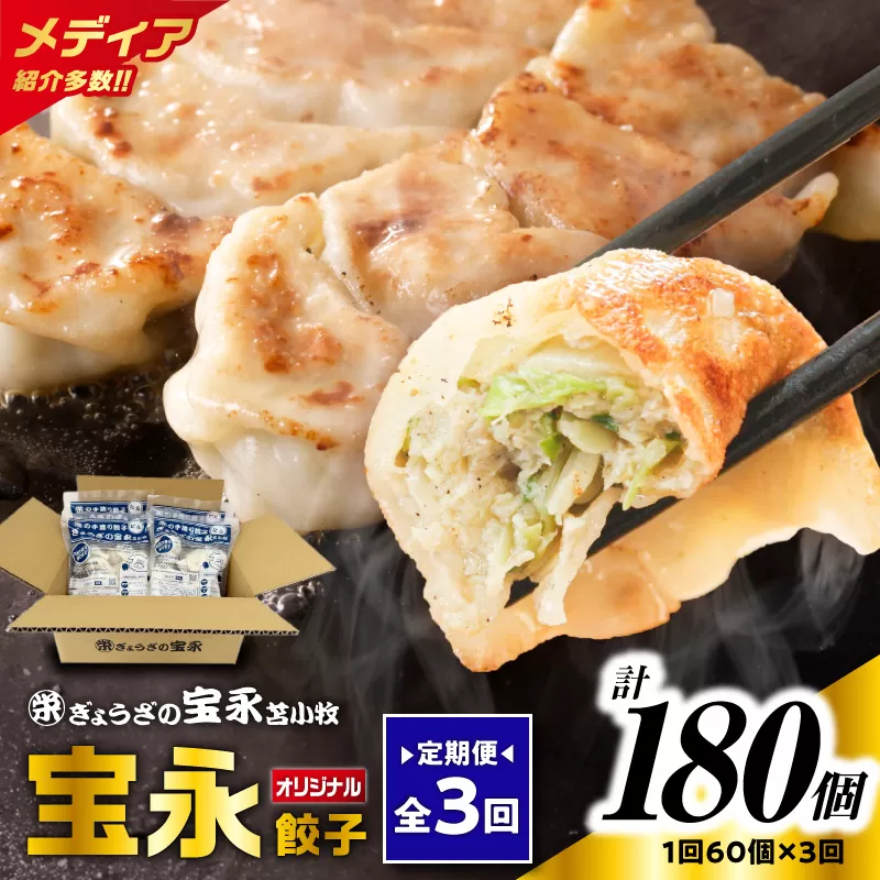 【全3回定期便（毎月）】ぎょうざの宝永 宝永餃子 15個入セット（宝永餃子15個入×4袋）合計1.5kg