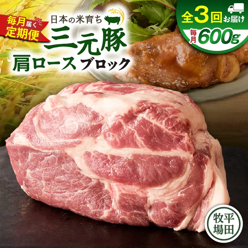 【全3回 毎月定期便】日本の米育ち平田牧場三元豚肩ロースブロック 600g