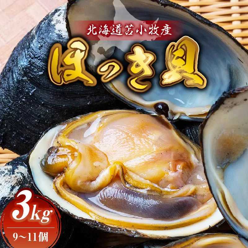 北海道苫小牧産 ほっき貝 3kg（9〜11個）