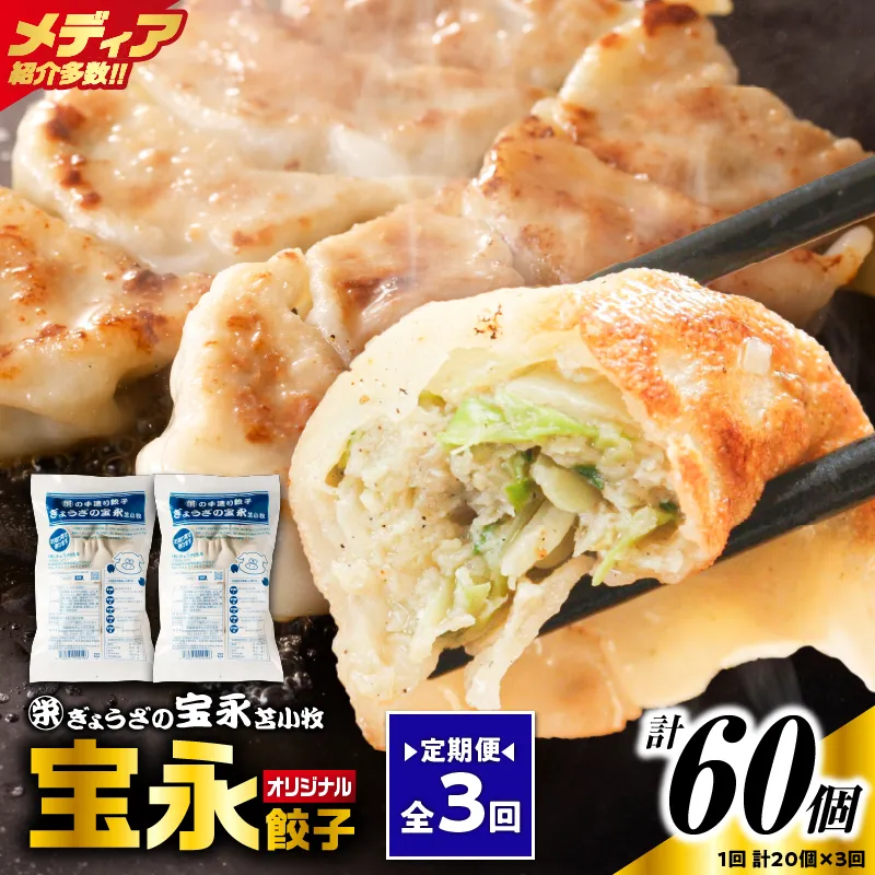 【定期便・全3回 毎月】手包み餃子 ぎょうざの宝永 宝永餃子20個セット（宝永餃子10個入×2袋）