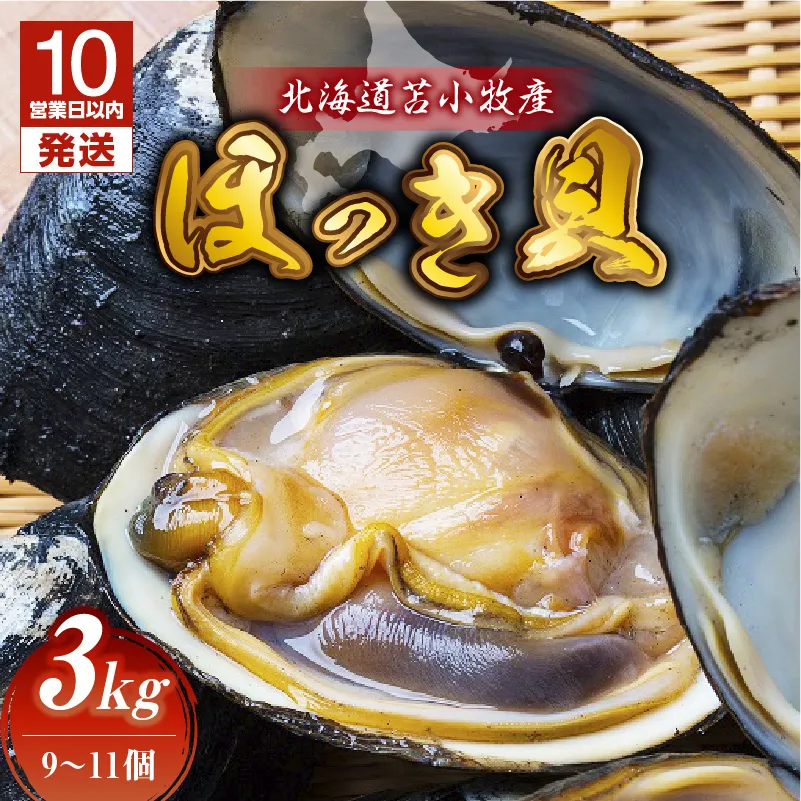 【10営業日以内に発送】北海道苫小牧産 ほっき貝 3kg(9~11個)