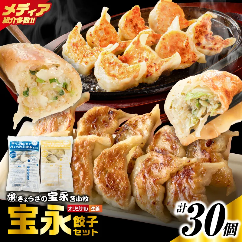 手包み餃子 ぎょうざの宝永 生姜餃子30個セット（宝永餃子15個入×1袋・生姜餃子15個入×1袋）