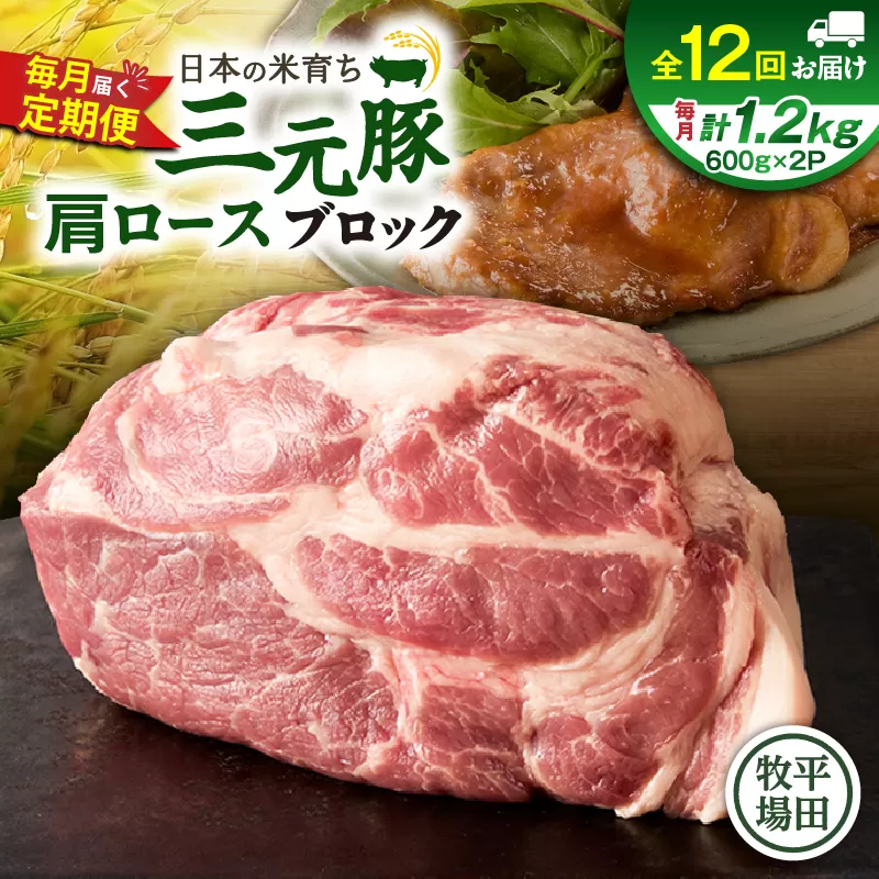 【全12回 毎月定期便】日本の米育ち平田牧場三元豚肩ロースブロック 1.2kg