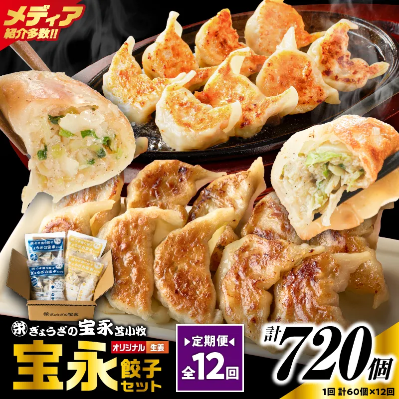 【定期便・全12回 毎月】手包み餃子 ぎょうざの宝永 生姜餃子60個セット（宝永餃子15個入×2袋・生姜餃子15個入×2袋）