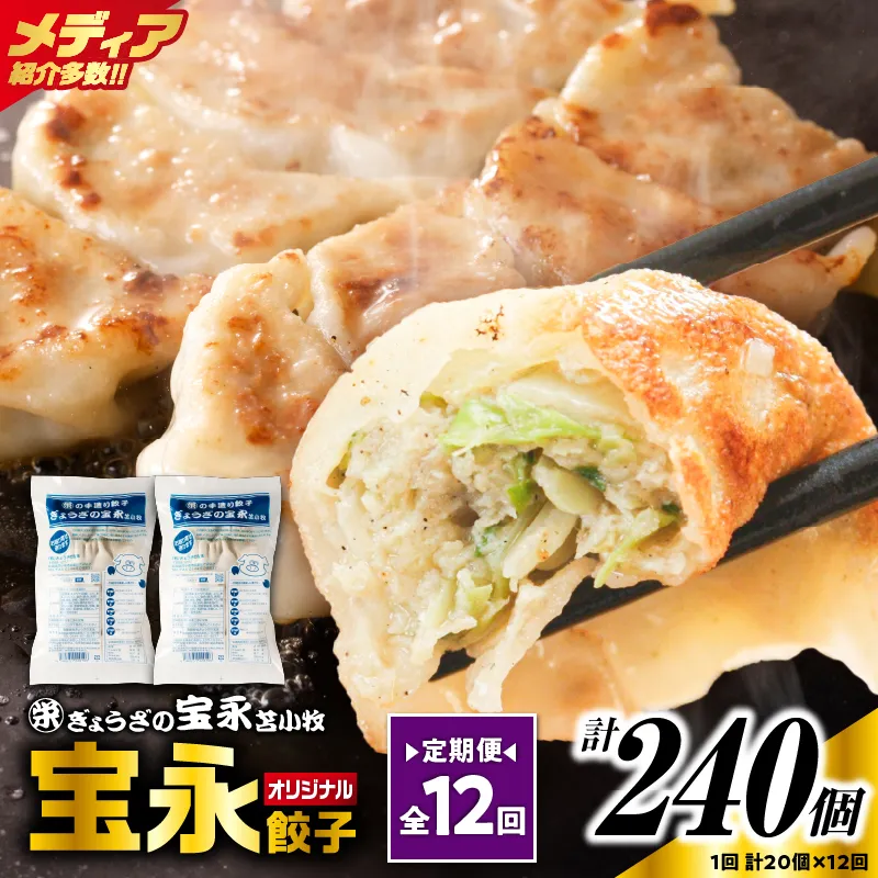 【定期便・全12回 毎月】手包み餃子 ぎょうざの宝永 宝永餃子20個セット(宝永餃子10個入×2袋)
