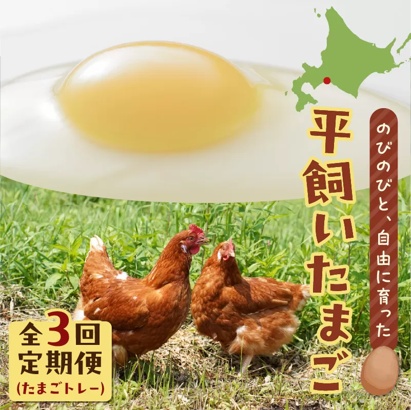 【全3回定期便】平飼いたまご（たまごトレー）