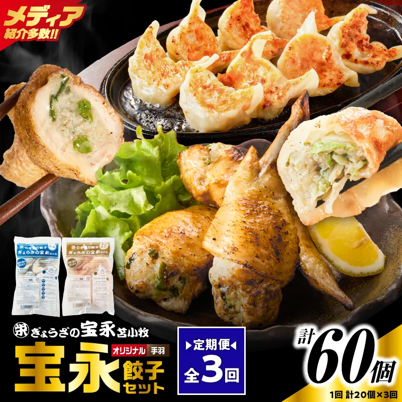 【定期便・全3回 毎月】手包み餃子 ぎょうざの宝永 手羽餃子20個セット（宝永餃子15個入×1袋・手羽餃子5個入×1袋）