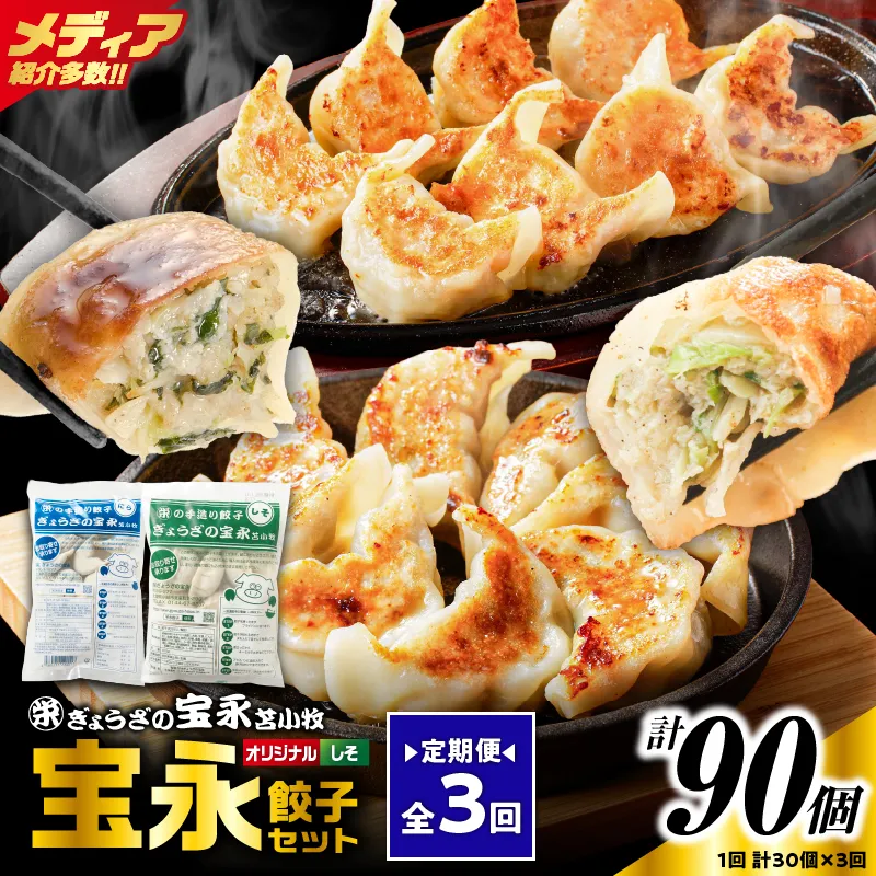 【定期便・全3回 毎月】手包み餃子 ぎょうざの宝永 しそ餃子30個セット（宝永餃子15個入×1袋・しそ餃子15個入×1袋）