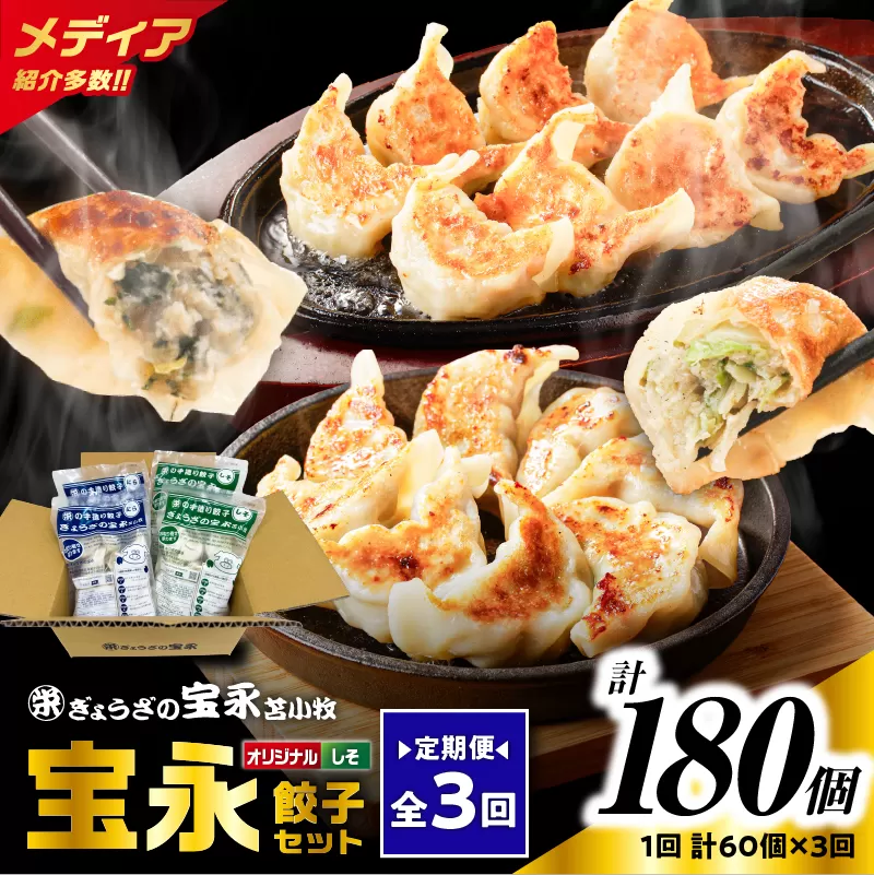 【全3回定期便（毎月）】ぎょうざの宝永 しそ餃子セット（宝永餃子 15個入×2袋＆しそ餃子 15個入×2袋）合計1.5kg