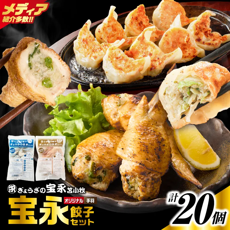 手包み餃子 ぎょうざの宝永 手羽餃子20個セット（宝永餃子15個入×1袋・手羽餃子5個入×1袋）