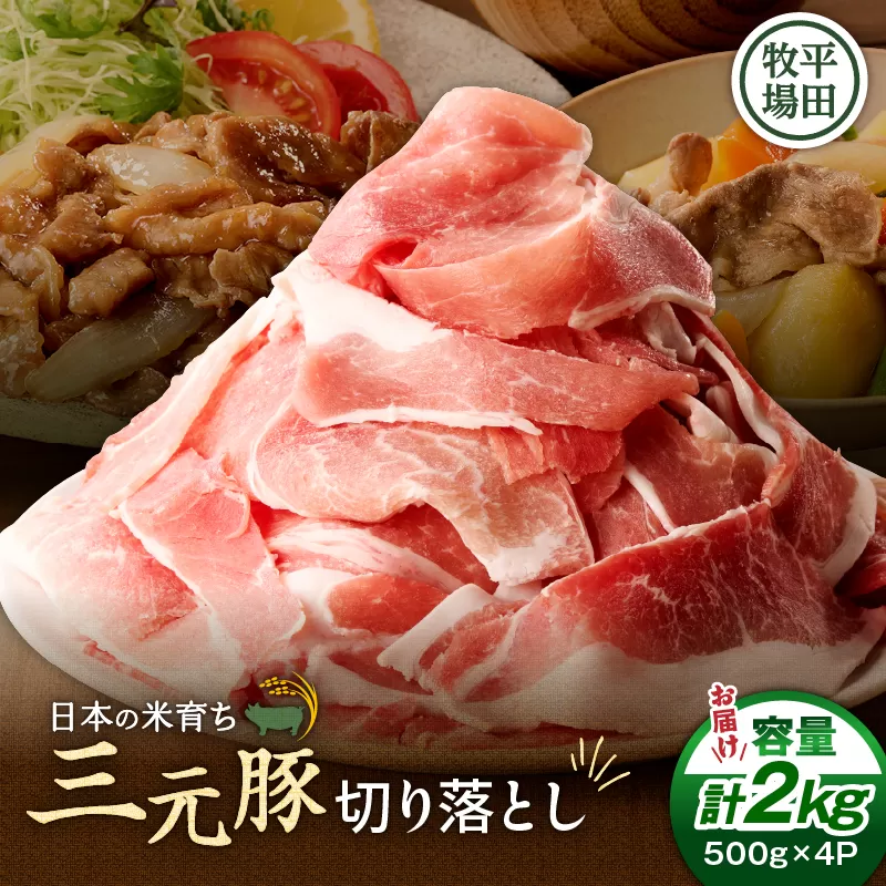 日本の米育ち平田牧場 三元豚切り落とし 500g×4パック（計2kg）