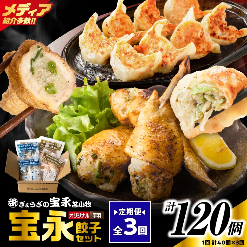 【定期便・全3回 毎月】手包み餃子 ぎょうざの宝永 手羽餃子40個セット（宝永餃子15個入×2袋・手羽餃子5個入×2袋）