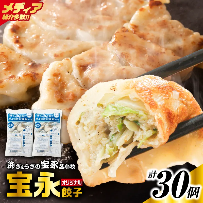 手包み餃子 ぎょうざの宝永 宝永餃子30個セット（宝永餃子15個入×2袋）