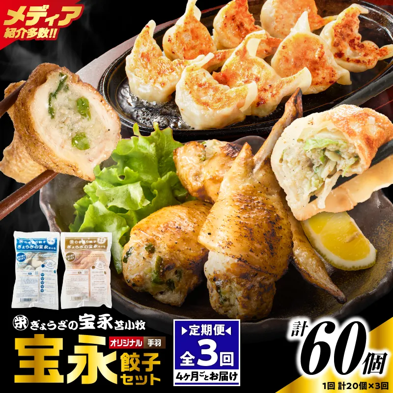 【定期便・全3回 4ヶ月毎】手包み餃子 ぎょうざの宝永 手羽餃子20個セット(宝永餃子15個入×1袋・手羽餃子5個入×1袋)