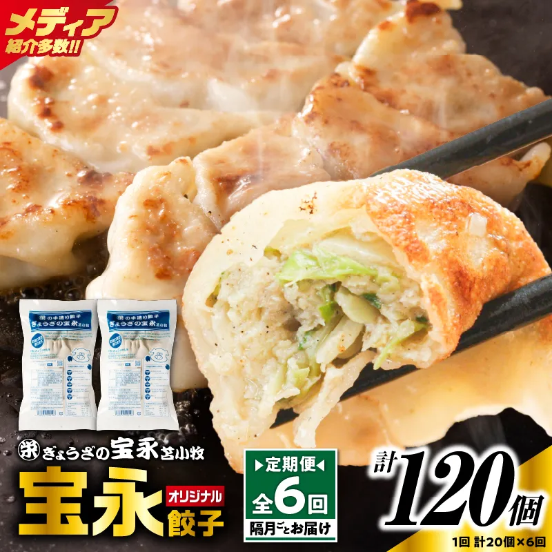 【定期便・全6回 隔月】手包み餃子 ぎょうざの宝永 宝永餃子20個セット（宝永餃子10個入×2袋）
