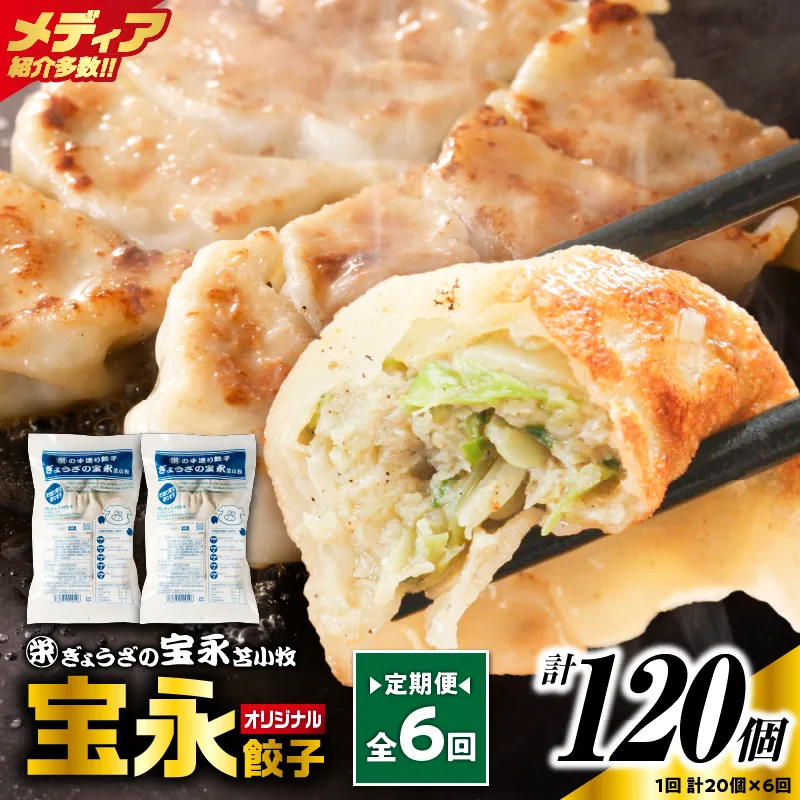 【定期便・全6回 毎月】手包み餃子 ぎょうざの宝永 宝永餃子20個セット(宝永餃子10個入×2袋)