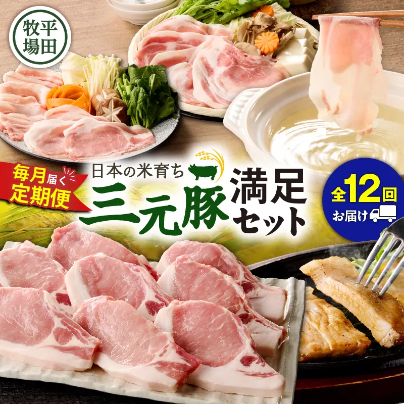 【全12回 毎月定期便】日本の米育ち平田牧場の満足セット！