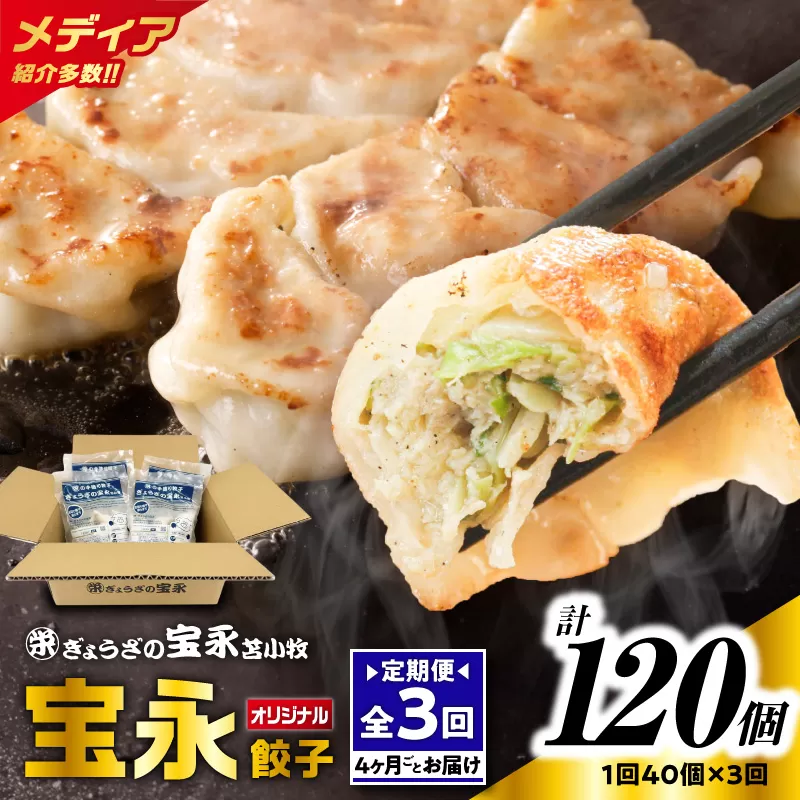 【全3回定期便（4ヶ月毎）】宝永餃子10個入セット（宝永餃子10個入×4袋）合計1.0kg