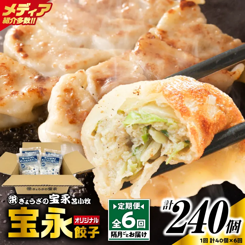 【定期便・全6回 隔月】手包み餃子 ぎょうざの宝永 宝永餃子40個セット（宝永餃子10個入×4袋）