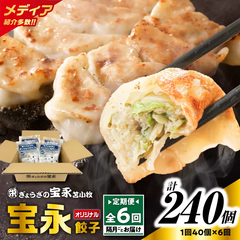 【全6回定期便（隔月）】宝永餃子10個入セット（宝永餃子10個入×4袋）合計1.0kg